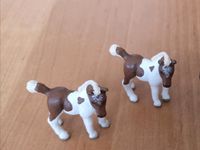 Schleich Fohlen Niedersachsen - Georgsmarienhütte Vorschau