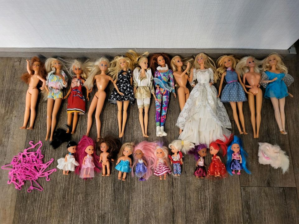 Barbie Puppen und Haus in Bottrop