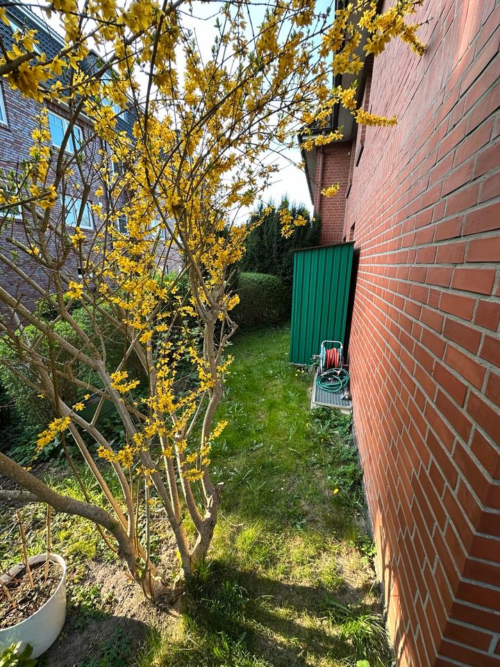 Nachmieter für Drei-Zimmer-Wohnung inkl. Terasse und Garten in Hamburg