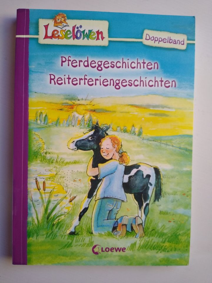 LESELÖWEN Bücher versch. Ausführungen pro Buch 2 Euro in Staufenberg