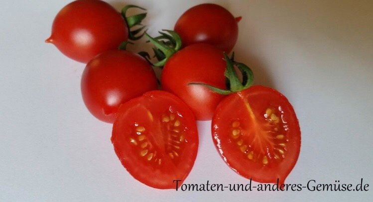 Tomatenpflanzen Príncipe Borghese in Lübbecke 