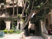 Eigentumswohnung in Kairo Mitte - Hansaviertel Vorschau