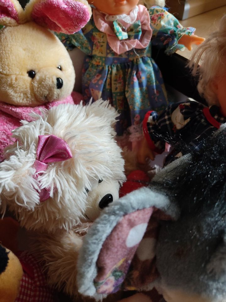 Plüschtiere / Puppen an eine Kinderbetreuungseinrichtung in Bremen
