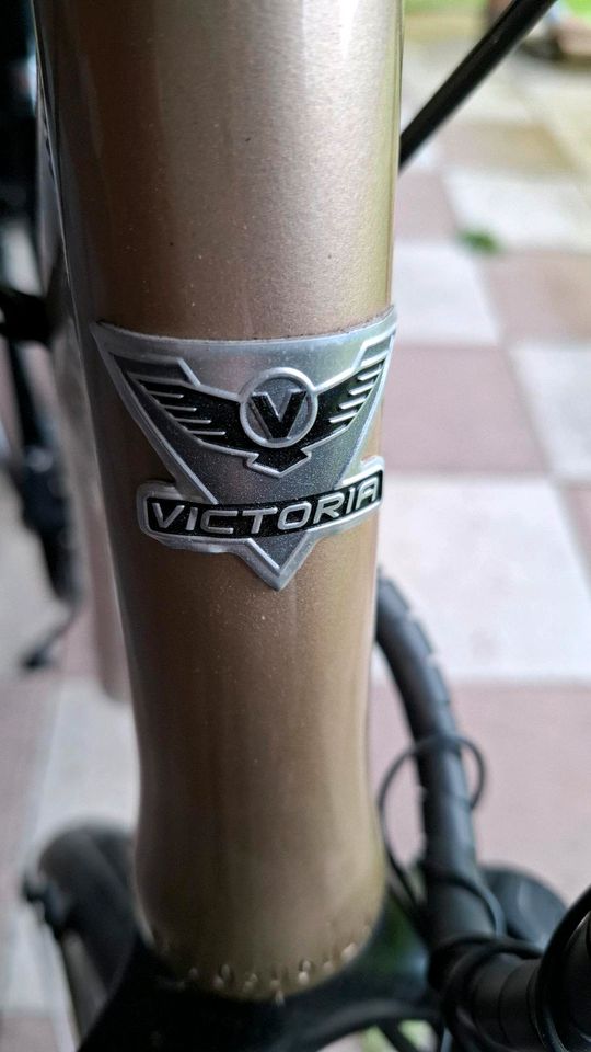 Victoria E Bike Damen Tiefeinstieg 28 Zoll in Recklinghausen