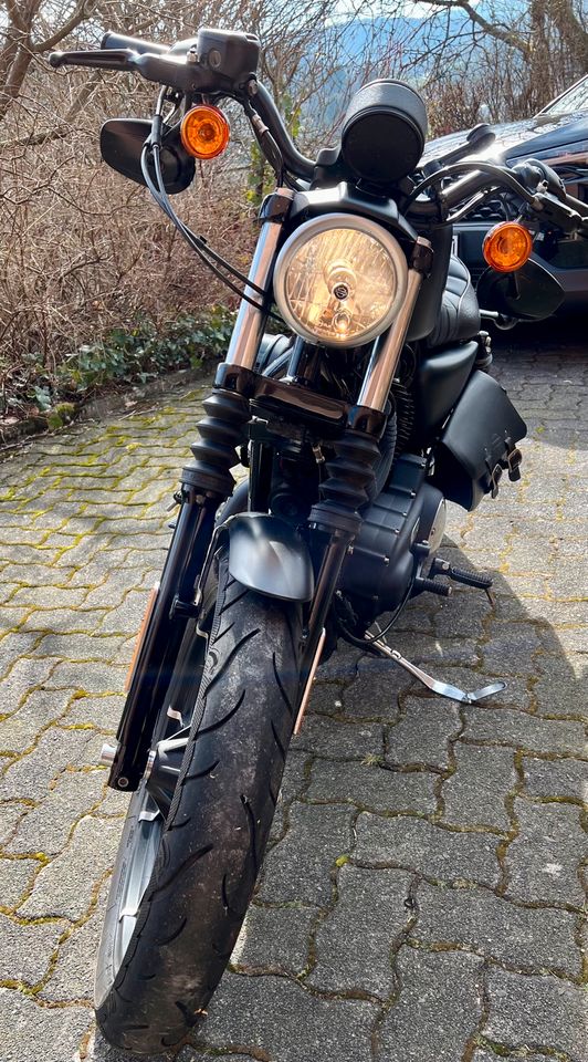 Harley Davidson Sportster Iron 883 in Hilchenbach