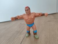 WWF WWE Hasbro Figur Tatanka Bayern - Steinach b. Straubing Vorschau