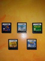 Nintendo DS Spiele Sachsen - Schlema Vorschau