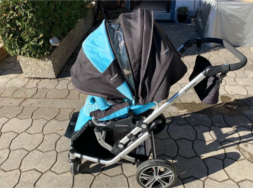 Gesslein F6 Air+ Kinderwagen in Berg