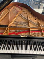 Jubiläumsangebote! Steinway & Sons  V125, K 132, O 180 und A 188 bei PIANO EHRET in Viernheim Hessen - Viernheim Vorschau