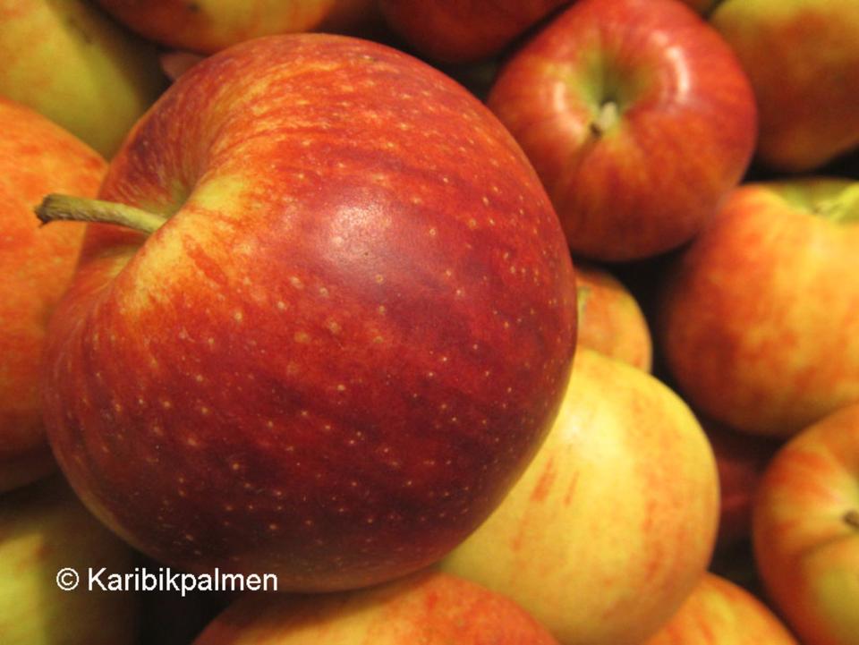 Apfelbaum, Birnbaum, Kirschbaum, Pflaumenbaum, Quitte, Pfirsich in Haan