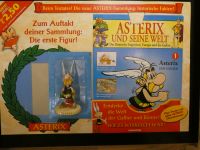 Asterix und seine Welt mit Figur De Agostini 1-70 kpl + top + OVP Nordrhein-Westfalen - Dorsten Vorschau