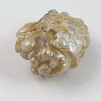 Große Naturperle aus Sammlung ( 3,86 Carat ) ca.15 x 13 x 8,5 mm Nordrhein-Westfalen - Recklinghausen Vorschau