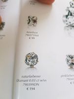 Pandora Charms mit Diamanten Harburg - Hamburg Neugraben Vorschau