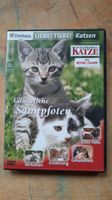 DVD mit Infos zur Katzen-Haltung, Glückliche Samtpfoten Baden-Württemberg - Waldkirch Vorschau