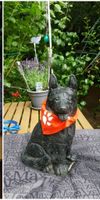 Hundefiguren aus Stein,Schäferhund,Handarbeit,In-u.Outdoor,Neu Nordrhein-Westfalen - Bönen Vorschau