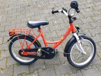 Kleines Fahrrad Hessen - Rimbach Vorschau
