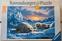 Puzzle Ravensburger 500 Teile "Robbenbabies im ewigen Eis" Dortmund - Aplerbeck Vorschau