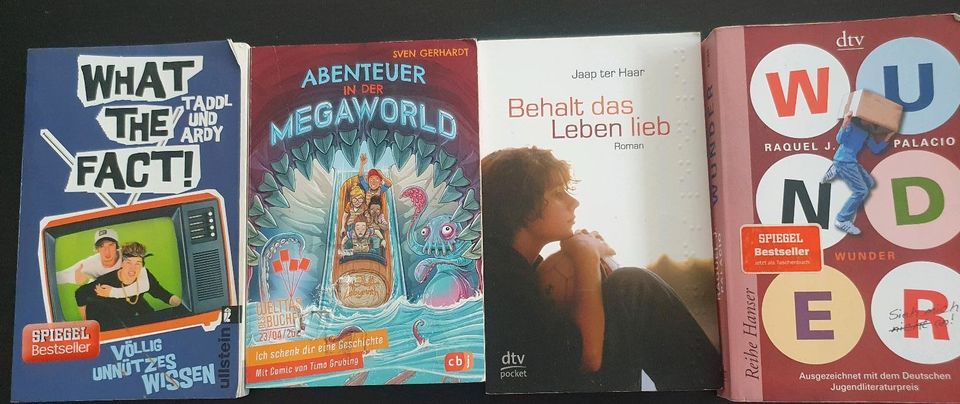 Bücher verschiedenes in Reinfeld