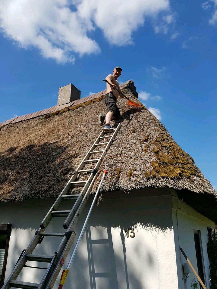 Reetdachpflege ,Reetdachreinigung in Satrup