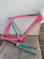 Bianchi Oltre XR4 Framset Gr. 57 Hessen - Dipperz Vorschau