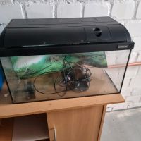 Aquarium  60x30x30 Wuppertal - Oberbarmen Vorschau