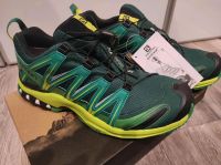 Salomon XA PRO 3D GTX / Neu in OVP Rheinland-Pfalz - Sörth Vorschau