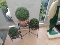 Blumenständer Garten Terrasse Wohnung Nordrhein-Westfalen - Wegberg Vorschau