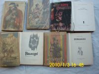 8 Indianerbücher Sachsen - Oybin Vorschau