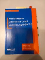 Praxisleitfaden - gesetzliche Unfallversicherung Hessen - Lich Vorschau