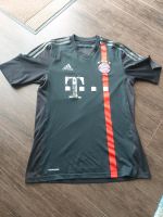 FC Bayern München Trikot Gr 176 2 x vorhanden Brandenburg - Brieselang Vorschau