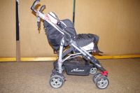 Hartan Buggy IX1 gebraucht Nordrhein-Westfalen - Hattingen Vorschau