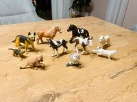 Tolle Schleich Kinder Tiere Sammlung Leipzig - Leipzig, Zentrum-Nord Vorschau