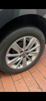 VW Polo 6C Felge 15 Zoll original Frankfurt am Main - Gallusviertel Vorschau