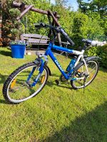 Fahrrad blau Duisburg - Walsum Vorschau