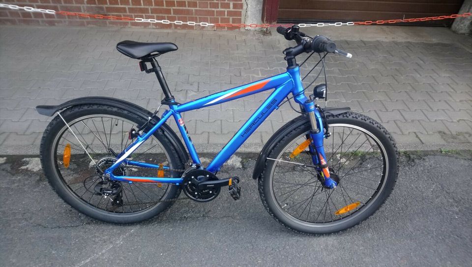 Hercules Sonic 21 Herrenfahrrad in Mengersgereuth-Hämmern