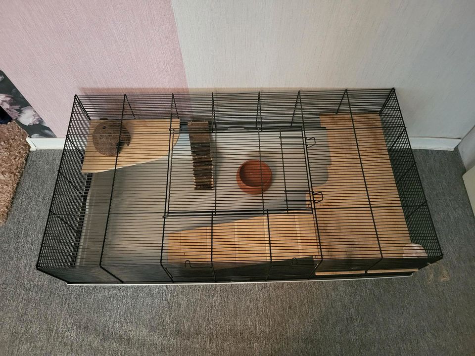 Hamster Käfig in Celle