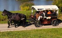 Pferdenarr/Geschäftspartner Schwerpunkt Arbeitspferde gesucht Baden-Württemberg - Deilingen Vorschau