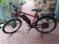 Ebike / Trekking Bike / Pinion / Nabenantrieb / RH46 / NP 3900€ Bayern - Stephanskirchen Vorschau