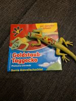 Planet Wow Gecko Nr. 4 Sachsen - Nünchritz Vorschau
