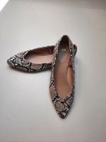 Animal Print Schuhe Gr.37 neu Hamburg-Nord - Hamburg Groß Borstel Vorschau