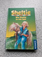 Buch 'Sheltie - Wie Sheltie zu uns kam' Dithmarschen - Lohe-Rickelshof Vorschau