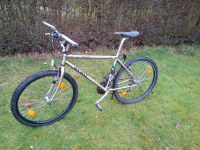 MTB Arcadia 3500 CrMo Rahmen RH46cm Shimano Alivio Ausstattung Nordrhein-Westfalen - Marl Vorschau