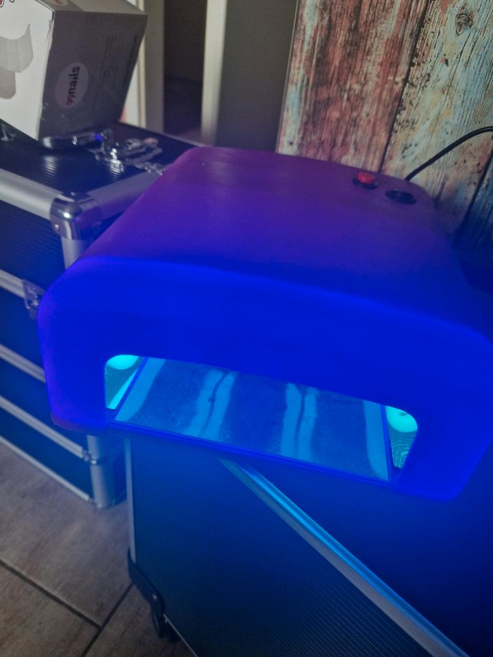UV Lampe lila in Kettenkamp