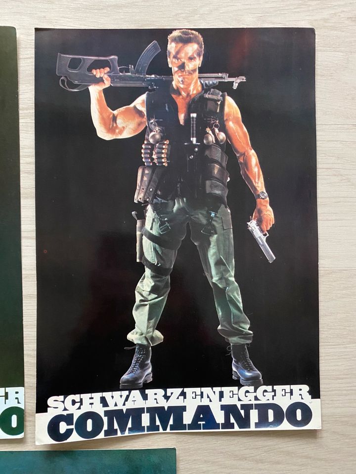 Arnold Schwarzenegger Poster Papposter 24x35,5cm in Hannover