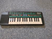 Keyboard Yamaha PSS-50 Herzogtum Lauenburg - Ratzeburg Vorschau