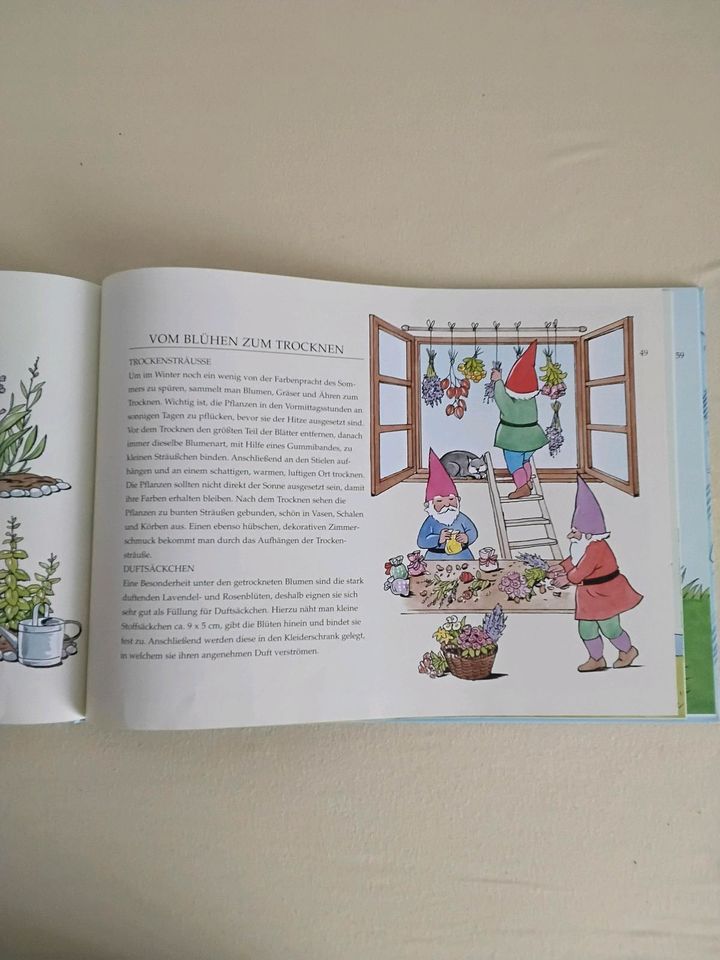 Kinderbuch der Serie Zwergenstübchen "Natur erleben" in Forchheim