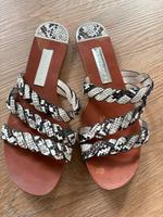 Damen Zara Schlappen snake Sommer 37 Sandalen Nordrhein-Westfalen - Paderborn Vorschau