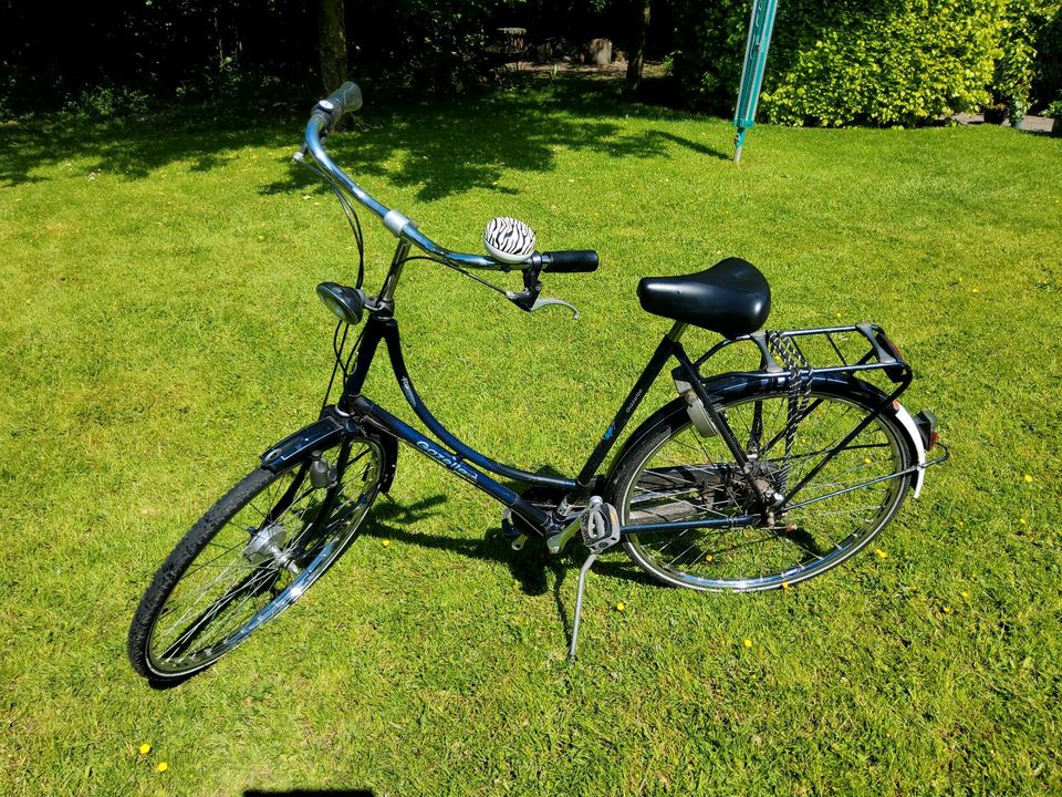 Gazelle Hollandfahrrad Damen in Jever