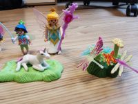 Playmobil Fairies Feenkönigin mit Gehilfe, Tieren und Zubehör Fee Wuppertal - Elberfeld Vorschau