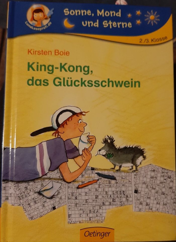 King Kong das Glücksschwein Kinderbuch Meerschweinchen 8 -10 J. in Jüchen